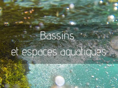 Bassins et espaces aquatiques